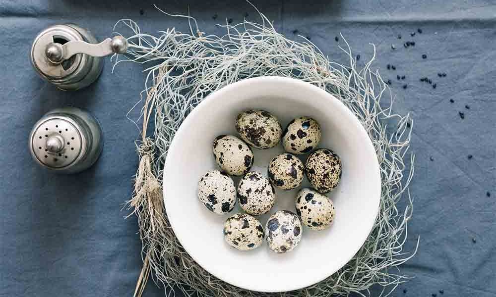 Quail egg