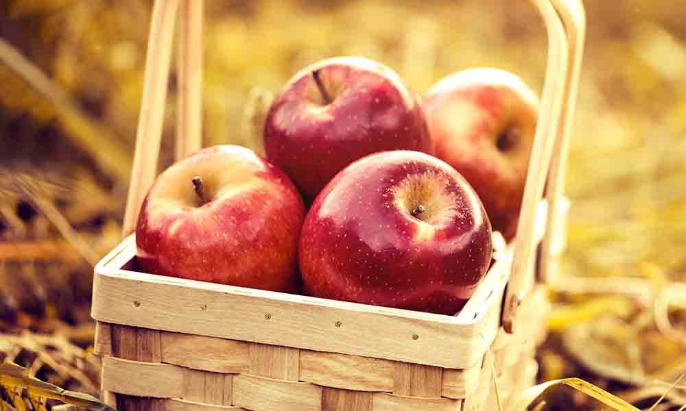apple