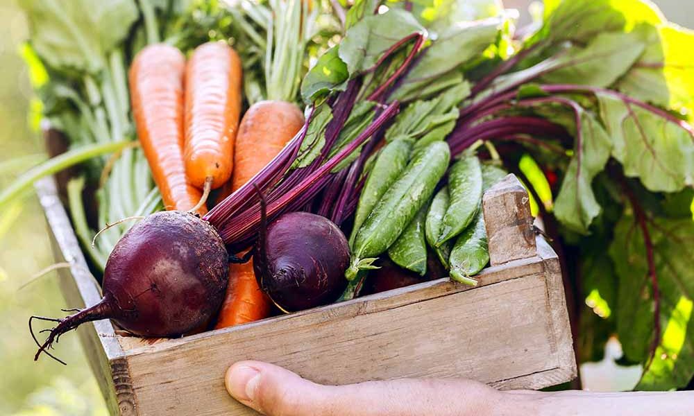 organic fruits