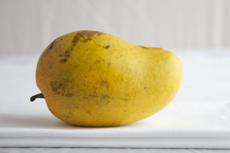 راهنمای تشخیص انبه مرغوب