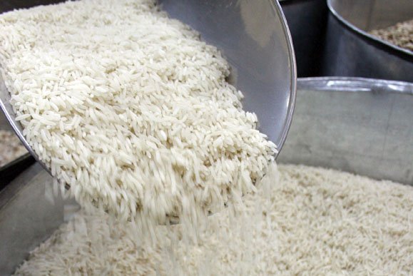 قیمت امروز برنج