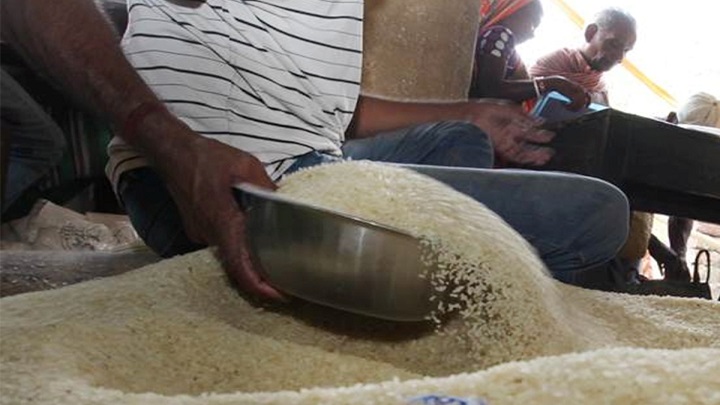 برنج را در چه محیطی نگه داریم تا از شپشک در امان باشد؟ برنج را در چه محیطی نگه داریم تا از شپشک در امان باشد؟