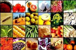 تنظیم بازار