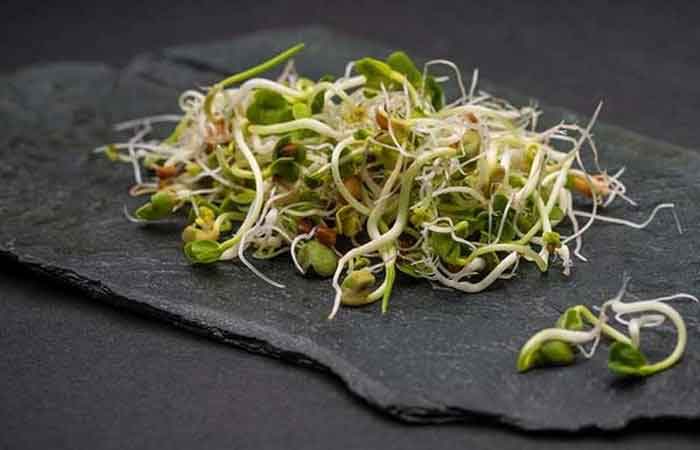 خواص شگفت انگیز جوانه گندم