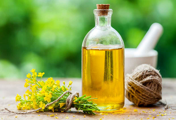 روغن کلزا