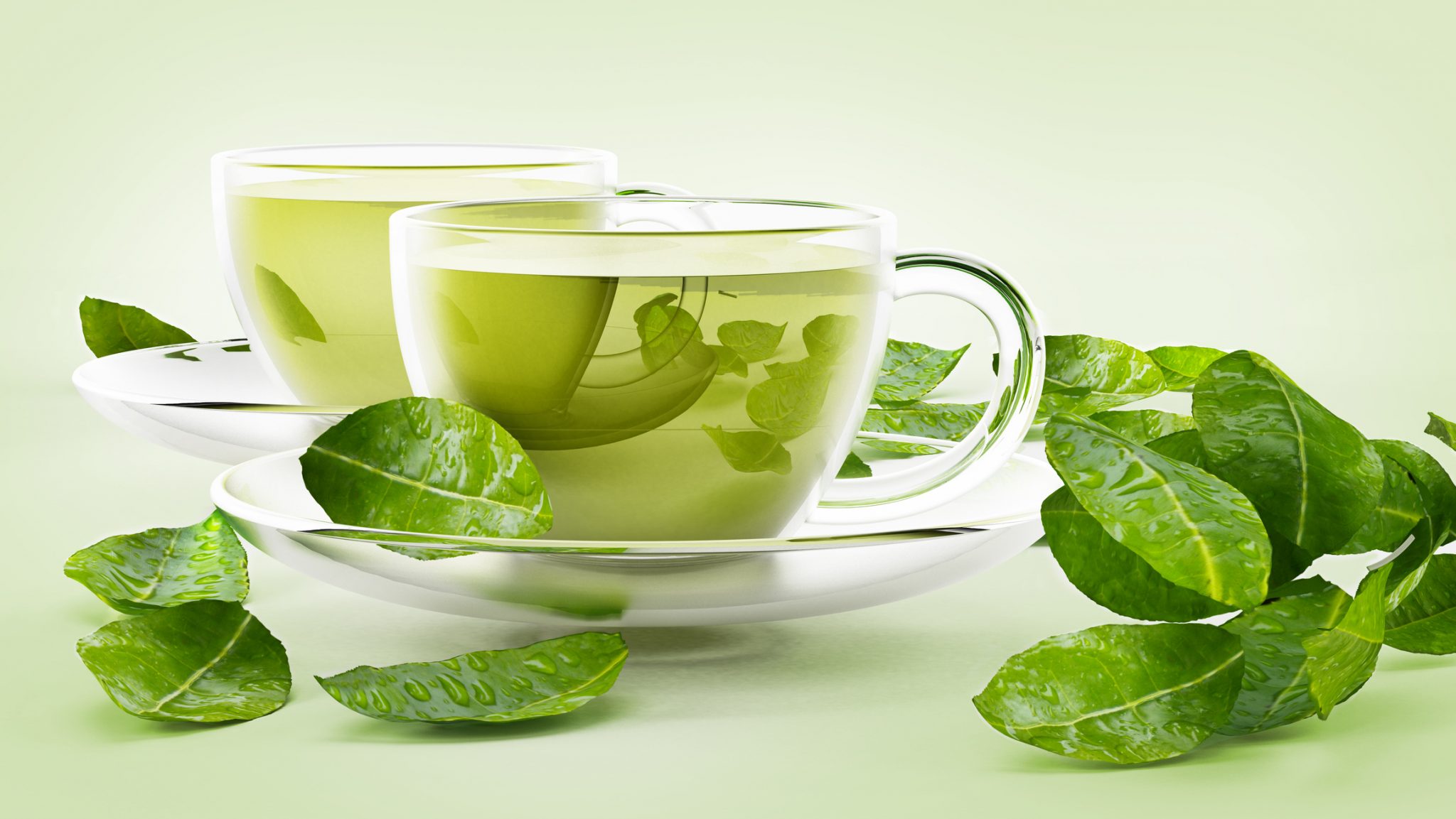 چای سبز-خاصیت چای سبز