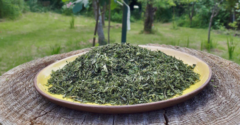 سبزی های غذا