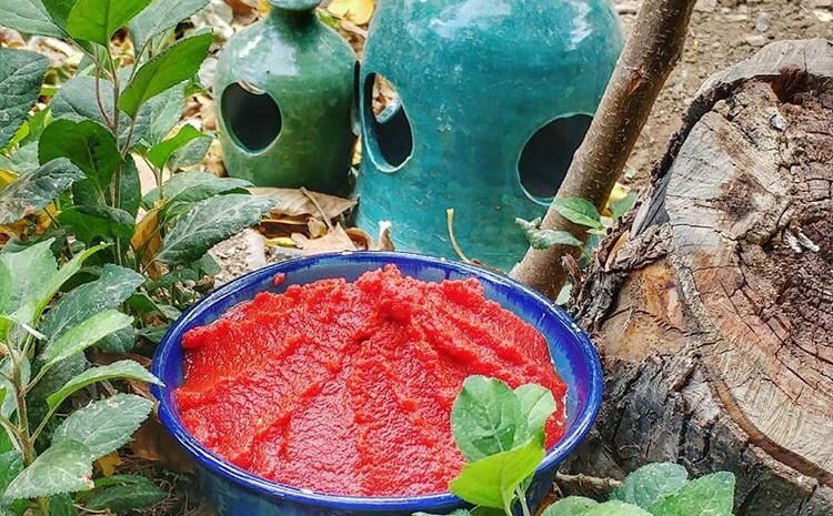 طرز تهیه رب گوجه فرنگی خانگی