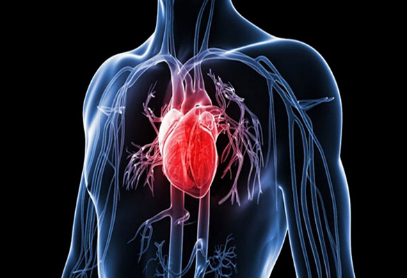 کاهش ابتلا به بیماری‌های قلبی