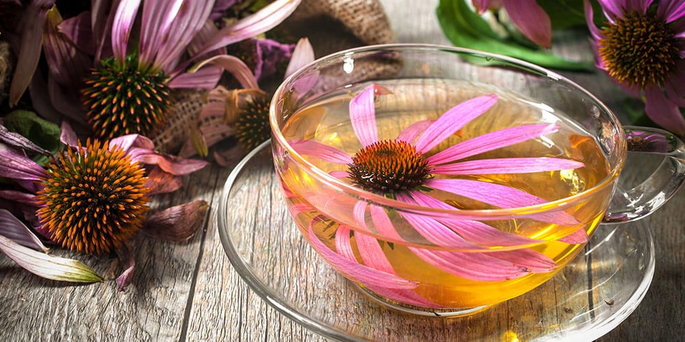 سرخارگل برای سرماخوردگی سرخارگل برای سرماخوردگی