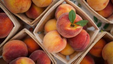 خواص هلو برای سلامتی بدن را بدانید!