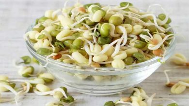 خواص انواع جوانه‌ها: از شادابی پوست تا لاغری