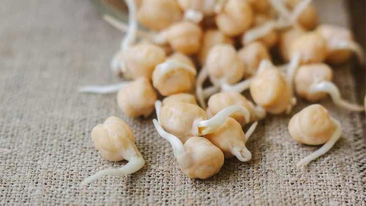 خواص جوانه سویا سرشار از ویتامین خواص جوانه سویا سرشار از ویتامین