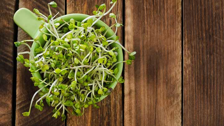 خواص جوانه عدس؛ افزایش انرژی و بهبود عملکرد قلب خواص جوانه عدس؛ افزایش انرژی و بهبود عملکرد قلب