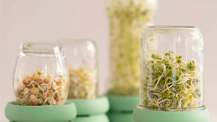 فواید جوانهها برای پوست و مو فواید جوانهها برای پوست و مو