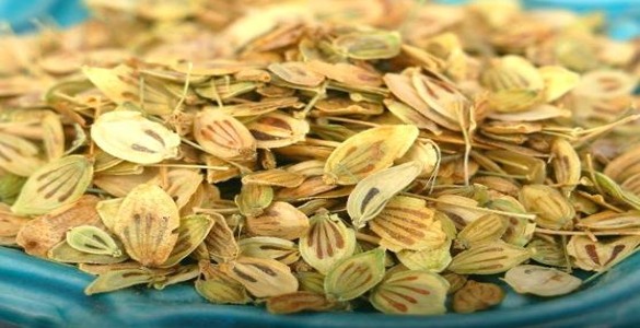 خواص گلپر