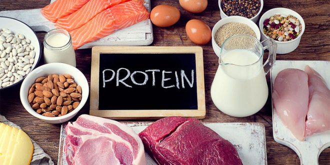 اهمیت و میزان پروتئین در رژیم‌های ورزشی