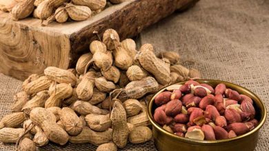 20 مورد از خواص بادام زمینی؛ برای سلامتی، زیبایی، مردان و...