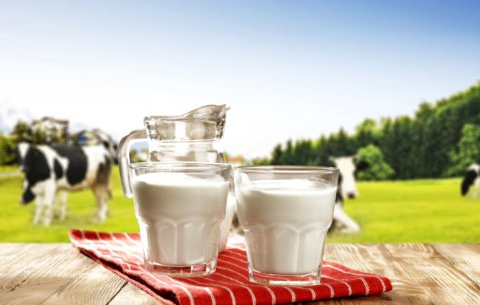 شیر گاوی برای سلامتی