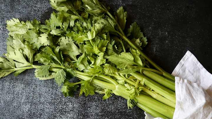 ارزش غذایی کرفس و فواید آن برای سلامتی بدن ارزش غذایی کرفس و فواید آن برای سلامتی بدن