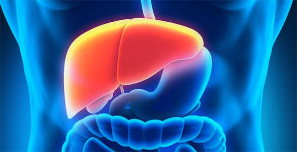 Treatment of fatty liver