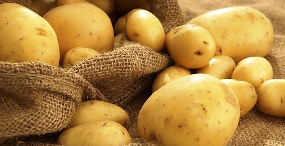 سیب زمینی برای درمان گل مژه