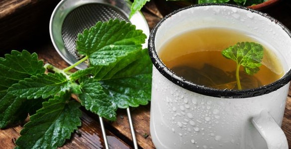 بادزنجبویه دمنوش آرامش بخش