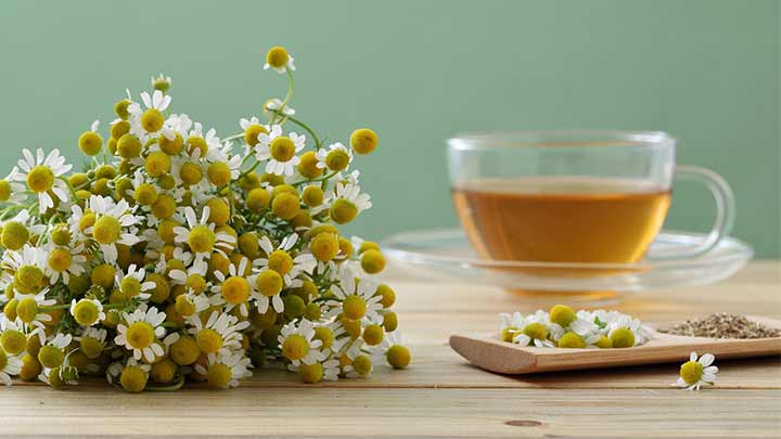 خواص دمنوش بابونه خواص دمنوش بابونه