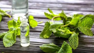 خواص مهم پونه و طرز تهیه دمنوش آن