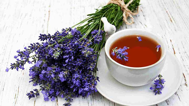 گل گاوزبان و خواص آن گل گاوزبان و خواص آن