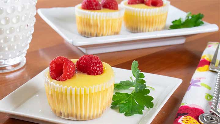 نکات طلایی در تهیه مینی چیز کیک آفتابگردان نکات طلایی در تهیه مینی چیز کیک آفتابگردان
