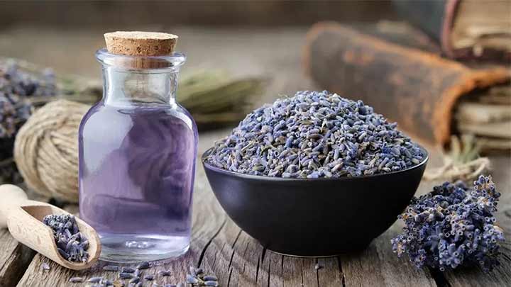 بهبود سردرد با روغن اسطوخودوس بهبود سردرد با روغن اسطوخودوس