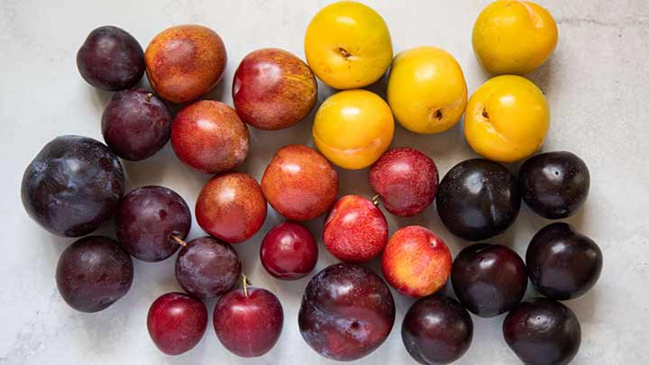 با خواص مهم آلو آشنا شوید! با خواص مهم آلو آشنا شوید!