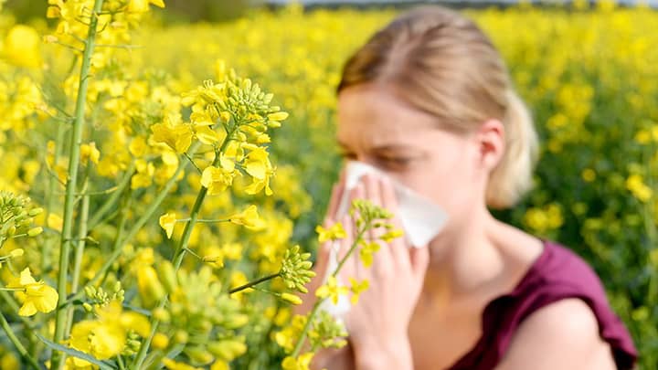 درمان‌های آلرژی و‌ حساسیت‌های بهاری