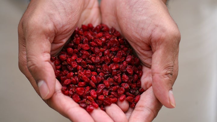 خشک کردن زرشک در خانه