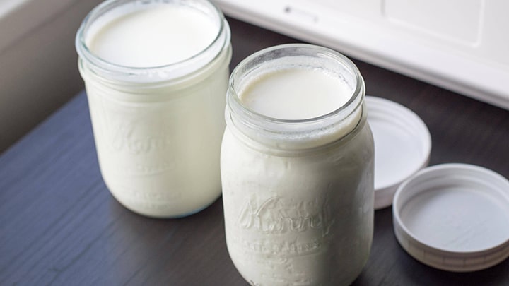 استفاده از پودر نشاسته ذرت در تهیه ماست استفاده از پودر نشاسته ذرت در تهیه ماست