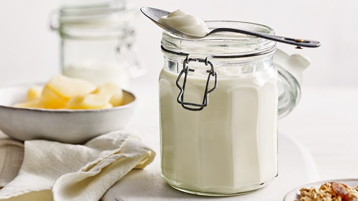 استفاده از پودر مایه ماست استفاده از پودر مایه ماست