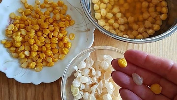 چگونه نخود لپه شده را تهیه کنیم؟ چگونه نخود لپه شده را تهیه کنیم؟