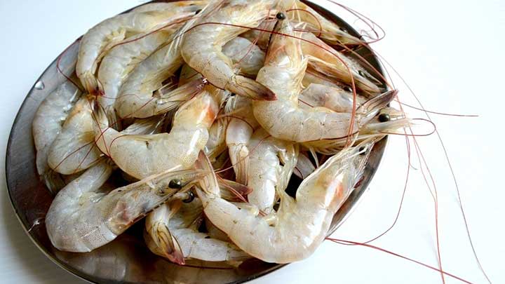 میگو تازه میگو تازه