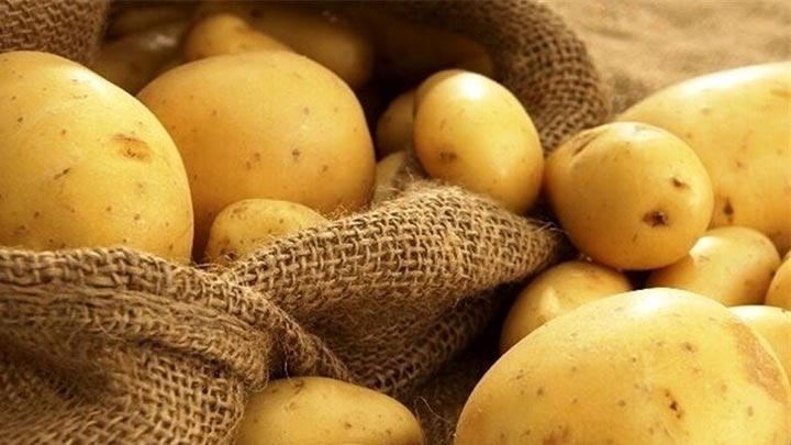 شرایط ایدهآل برای نگهداری سیب زمینی شرایط ایدهآل برای نگهداری سیب زمینی