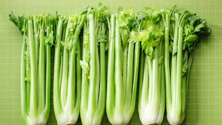 کرفس برای لاغری کرفس برای لاغری