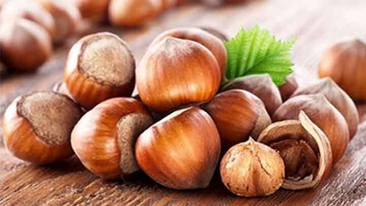 فندق قاتق گیلانی فندق قاتق گیلانی