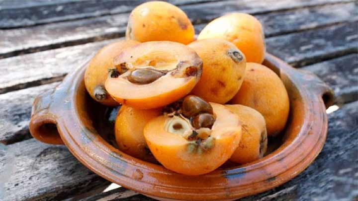 خواص مهم و عجیب میوه ازگیل