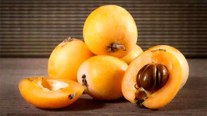 همه چیز در مورد میوه ازگیل