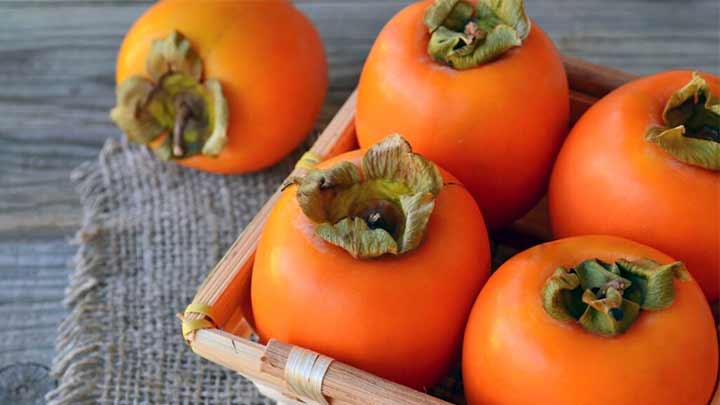 خواص خرمالو خواص خرمالو