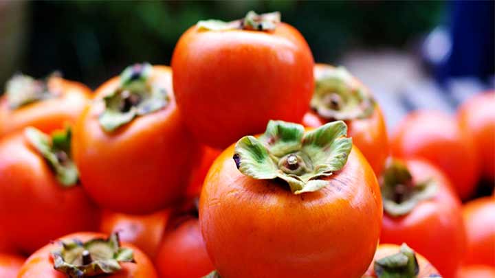 خرمالو خرمالو