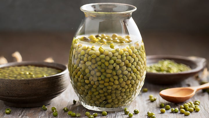 زمان لازم برای خیساندن ماش