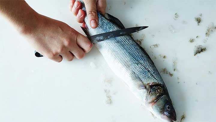 چطور پوست ماهی را بگیرم؟ چطور پوست ماهی را بگیرم؟