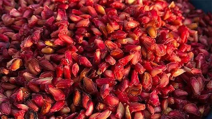 چند فوت و فن کوزهگری در طرز تهیه دانه انار خشک شده چند فوت و فن کوزهگری در طرز تهیه دانه انار خشک شده