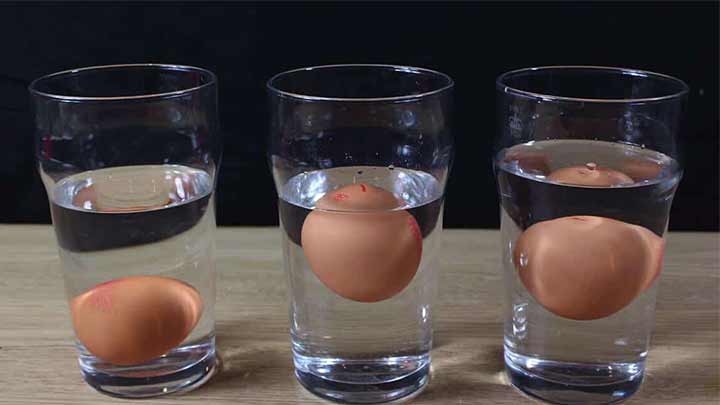 چگونه تخم مرغ فاسد را از سالم تشخیص دهیم؟ چگونه تخم مرغ فاسد را از سالم تشخیص دهیم؟